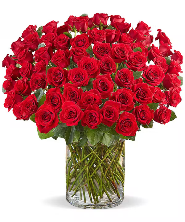 100 Luxurious Roses Arranged