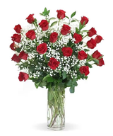 Red Roses Arranged with Babies Breath
