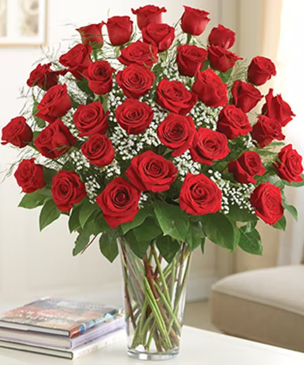 Red Roses Arranged with Babies Breath